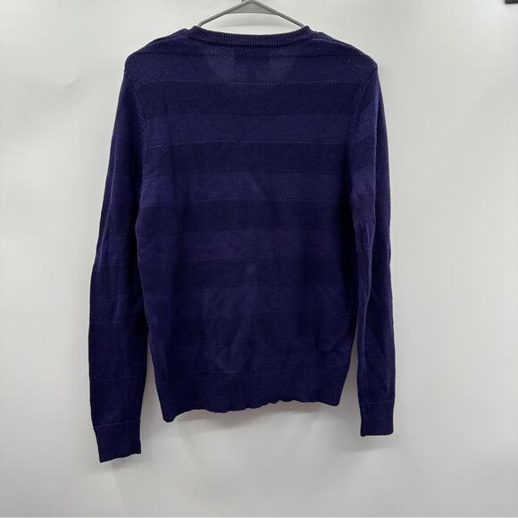 Nordstrom Men's 100% Extra Fine Merino‎ Wool Purple Striped V Neck Sweater Sz S - Picture 4 of 8